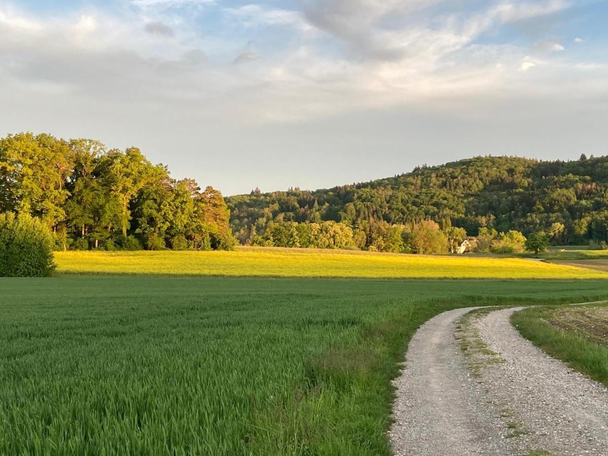 Buesingen Am Hochrhein Radfahren, Wandern, Natur Geniessen Apartment Ngoại thất bức ảnh