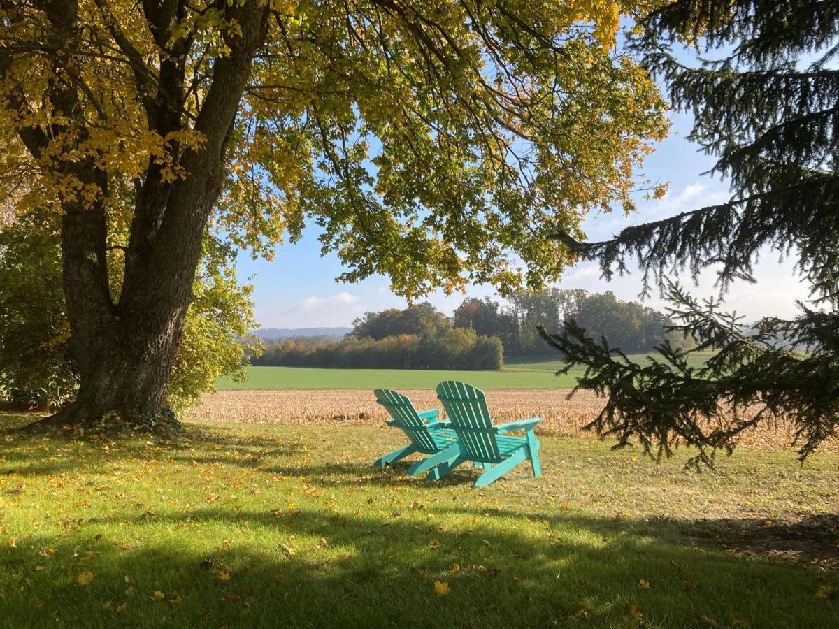 Buesingen Am Hochrhein Radfahren, Wandern, Natur Geniessen Apartment Ngoại thất bức ảnh